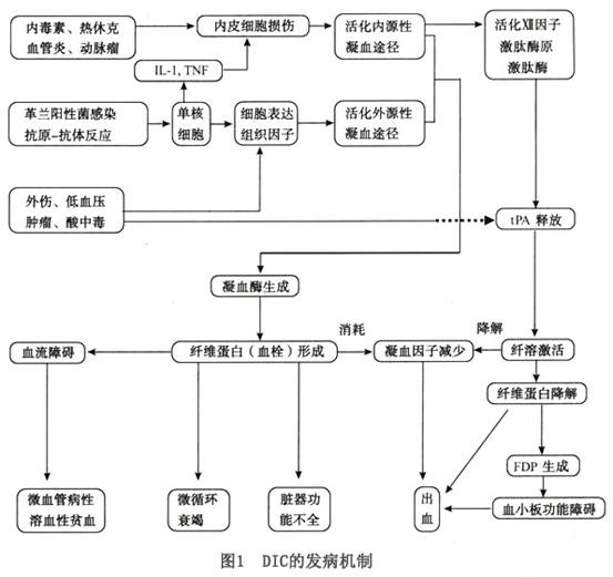 许多疾病发生发展过程中破坏了正常凝血,抗凝,纤溶系统的平衡,体内