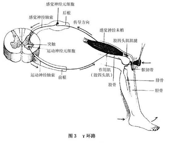 痉挛性脑瘫