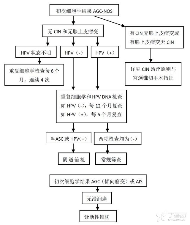 7 张流程图详解宫颈癌筛查